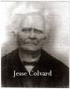 Jesse Colvard